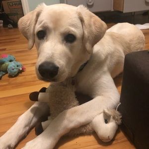 Meet your Posher, Whitney